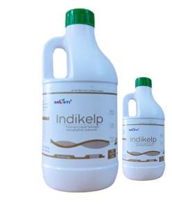 Indikelp